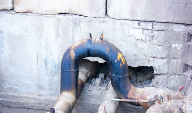 Best Carpet water damage restoration  in Romulus, MI